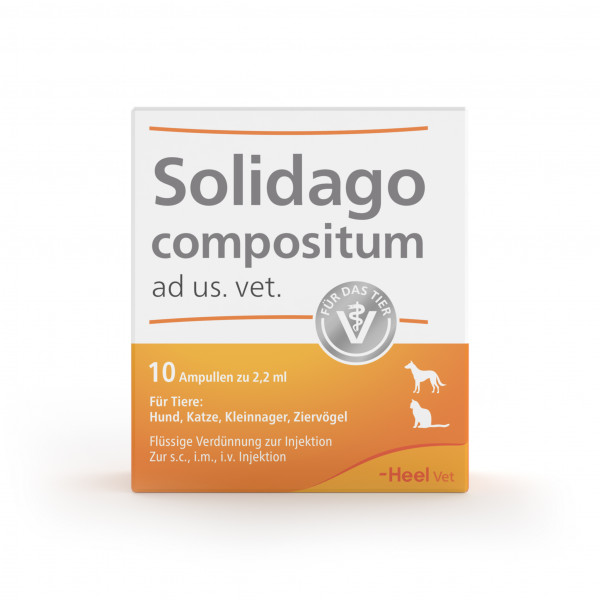 Abbildung für SOLIDAGO COMPOSITUM ad us.ve.  für Tiere Ampullen