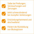 ARNIKA SALBE 30%