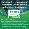 SOLEDUM 100 mg magensaftresistente Kapseln