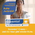 SOVENTOL Hydrocort 0,5% Creme