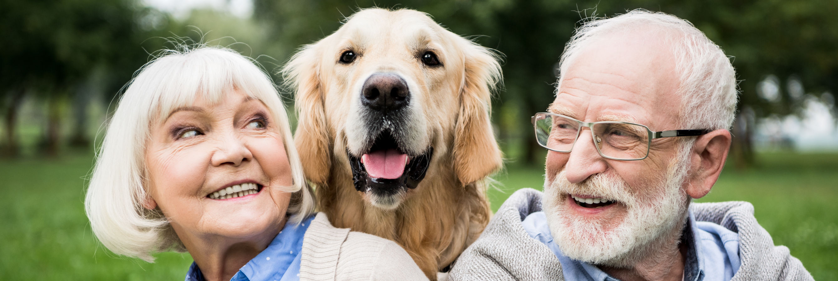 Abbildung für Folie 1
