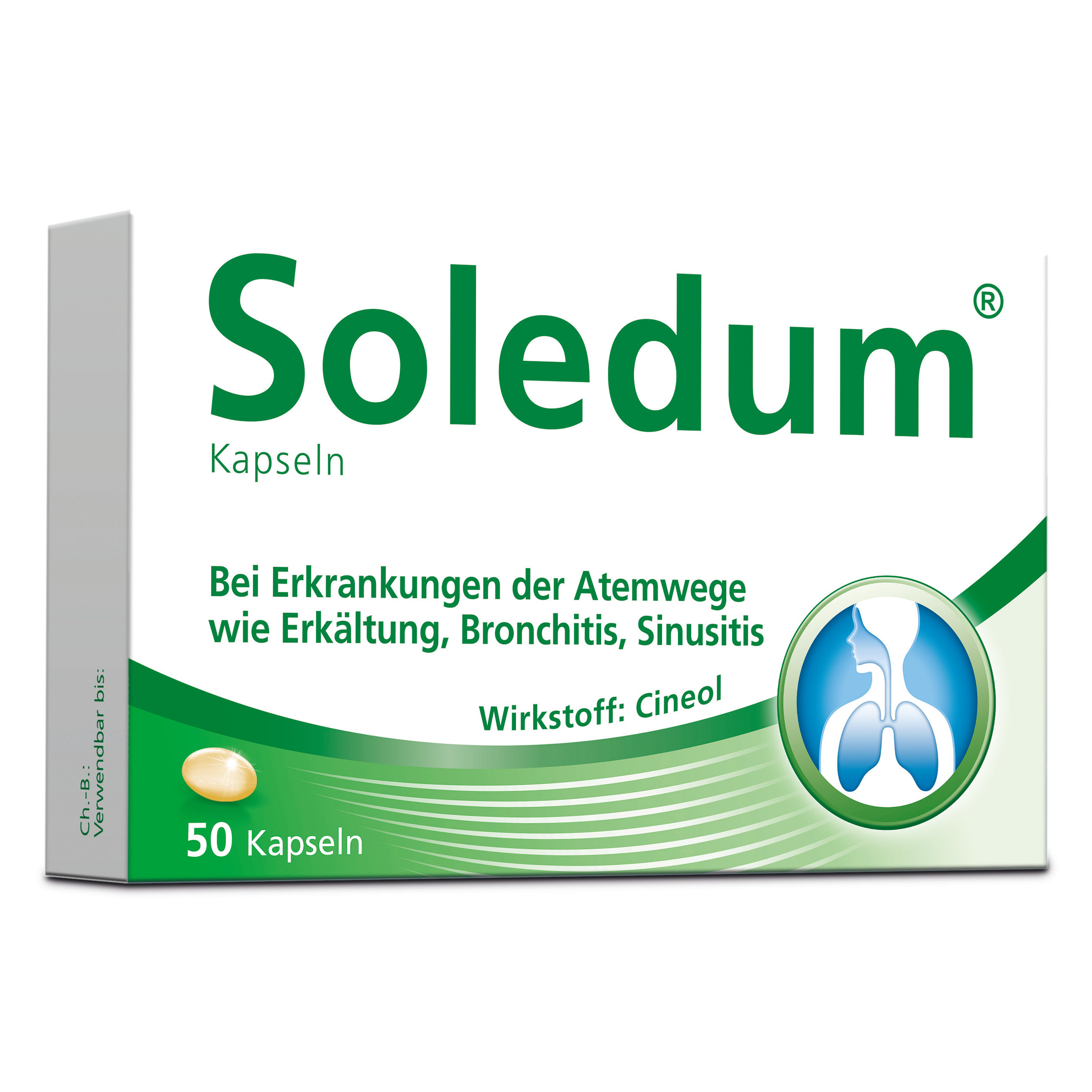Abbildung für SOLEDUM 100 mg magensaftresistente Kapseln